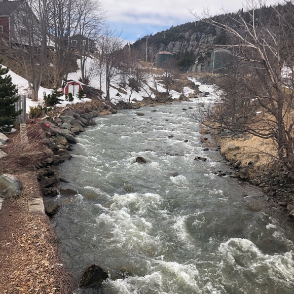 Meet your Posher, Deirdre - Picture 1 of 1